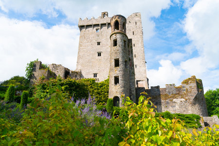 East wall and tower of medieval castle known as Blarney Castle in County Cork, Ireland.のeditorial素材