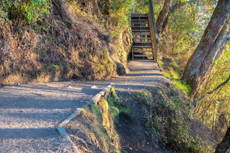 Pathway up and down Mount Maunganui, one of country's most popular walks, Tauranga New Zealand.