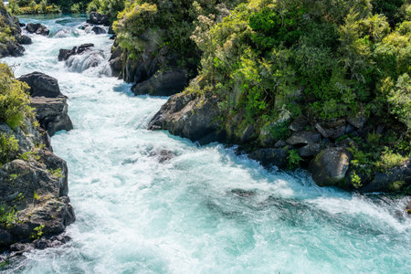 Bush clad and scenic Waikato River at place of Arariatia Rapids