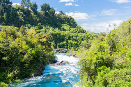 Bush clad and scenic Waikato River at place of Arariatia Rapidsの写真素材
