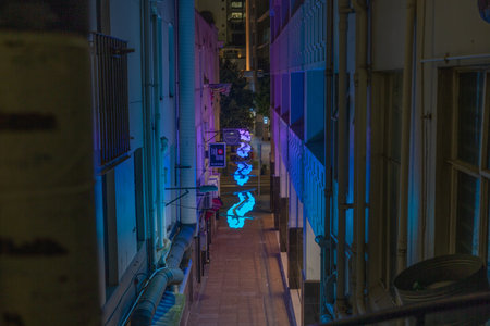 Auckland New Zealand - December 25 2021; view along Echange Lane in city at night.のeditorial素材