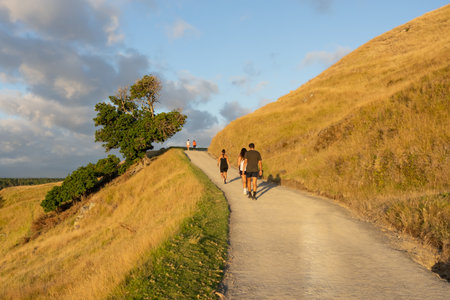Tauranga New Zealand - January 12 2022: People walking up long slope on Mount Maunganui past tree towards the summit.のeditorial素材