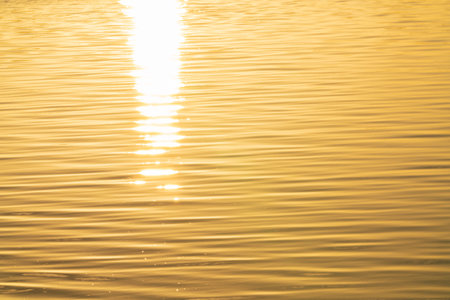 Ripples on surface of golden water with rising sun glow brightly shining through.の写真素材