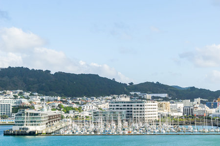 Chaffer's wharf and marina on city waterfront, Wellington, New Zealand.