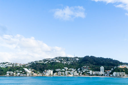 Buildings of Oriental Bay below slope of Mount Victoria in Wellington.の写真素材