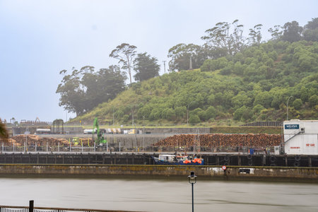 Gisborne New Zealand - February 7 2022; Raining day at working port with fishing boat at wharf logs...
