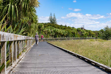 Tauranga New Zealand - March 10 2022; people on walkway through wetland and bush in Kopurererua Valley, Tauranga.のeditorial素材