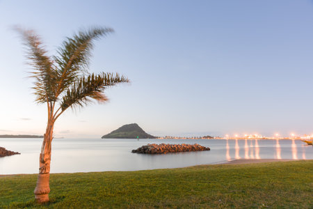 Tauranga harbour with lights from port reflecting across bay and Mount maunganui landmark on horizon with palm tree fronds blurred in breeze at duskの写真素材
