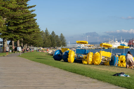 Tauranga New Zealand - April 4 2022; Yellow and blue big wheel paddle boast for hire beside walkway...