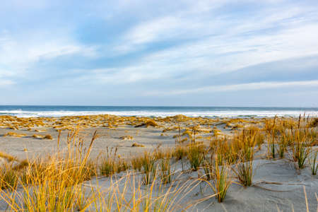 Sand dunes and surf waves in Martin's Bay, Fiordland, New Zealand.の写真素材