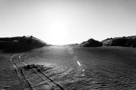 Ripples and tracks through Black sands of rolling Castlecliff dunes as sunsets behind them creating lens flare effect, Whanganui, New Zealand.の写真素材