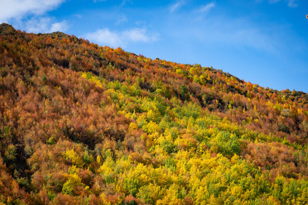 Colorful autumn foliage covered hillside in Arrowtown, New Zealand.