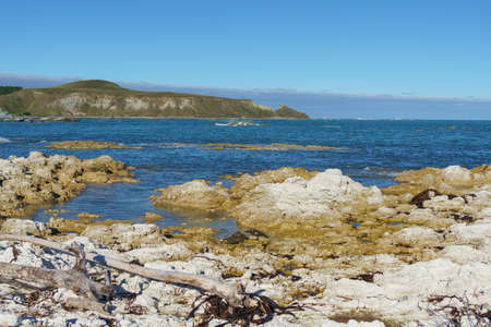 Kaikoura coastal views from end of Fyffe Quay New Zealandの写真素材