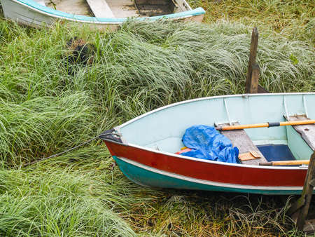 Old dinghies pulled up on waterfront grass in rustic Alaskan image in Petersburg.の写真素材