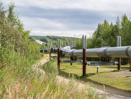 Gas or oil pipeline winding through landscape overland in Alaska.の写真素材