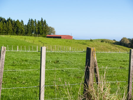 Fence and fields from roadside view to horizon and red shed.の写真素材