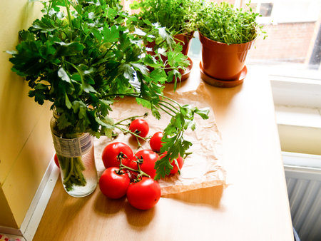 Fresh food and potted herbs on inside bench with sunlight from right.の写真素材