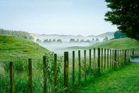 Rolling farmland with layers of mist in morning light