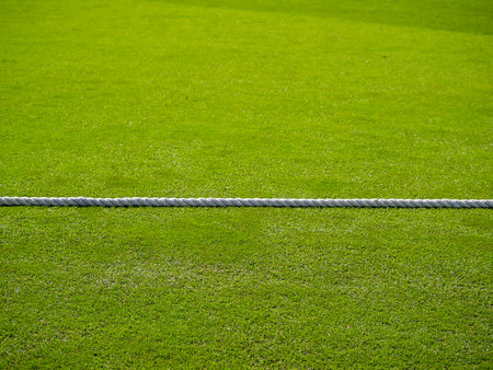 White rope divides green lawn as boundary rope on cricket pitch.の写真素材