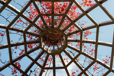 Hemispheric garden dome frame structure with red foliage of bougainvillea.の写真素材