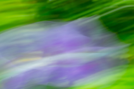 Abstract background motion blur flowers and foliageの写真素材