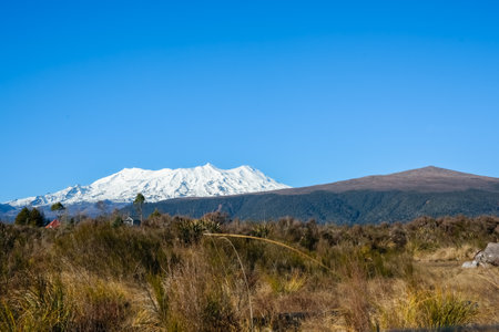 Snow capped Mount Ruapehu beyond bush clad landscape in north Island New Zealand.の写真素材