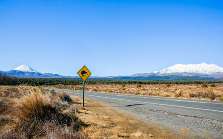Mount Ruapehu snow capped under blue sky in wide landscape in North Island New Zealand.の写真素材