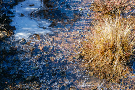 Icy puddle in landscape surrounded by alpine tussock with Mount Ngauruhoe behind, New Zealand.