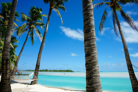 Idyllic calm turquoise lagoon between two palms in tropical destination.