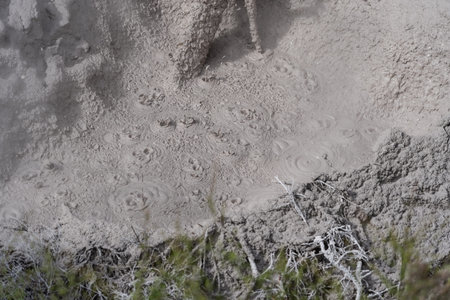 Gurgling and bubbling mud pool at Orakei Korako.