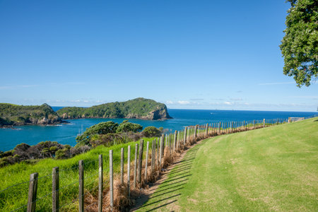 Farmland and off-shore islands of Northland New Zealand.の写真素材