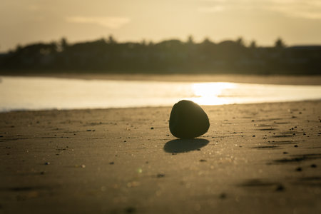 One coconut and it's shadow back-lit on beach at sunrise at Denarau, Fiji.の写真素材