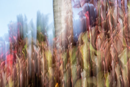Abstract nature blur foliage and tree trunk impressions using intentional camera movement i green and pink hues.の写真素材