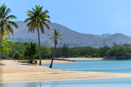 Beautiful idyllic tropical bay and beachの写真素材