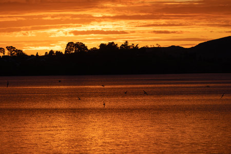Intense red sunrise over bay and silhouette horizonの写真素材