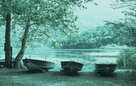 Faded old fashioned tones three aluminum dinghy securely chained together under trees beside Lake Piano, Italy.の写真素材