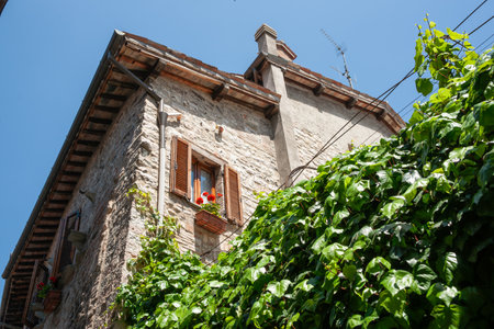 Green ivy growing over wall on street with red flowers in window above. in typical European style in Gubbio Italy.の写真素材