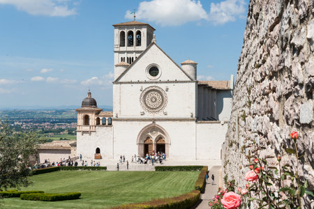 Assissi Italy May 18 2011; Stone wall and rose plants leading to famous church the Basilica of Saint Francis exterior.のeditorial素材
