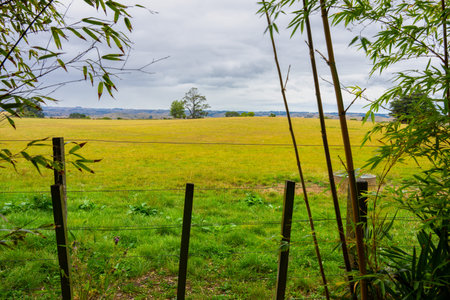 Overcast sky above wide rural landscape farmland fields  at Fordell, Wanganui.