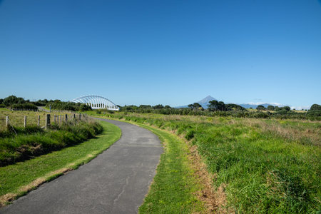 Land and track leading to bridge in foreground and mountain behind white steel Te Rewa Rewa Bridge...