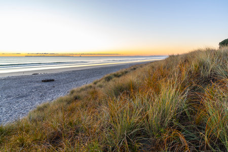 Grass covered  dunes separated by beach sand from sea at sunrise in Papamoa Tauranga New Zealand.の写真素材