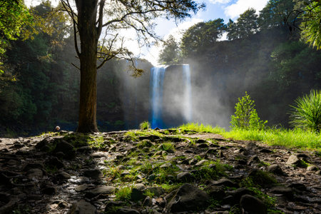 Whangarei Fall and surrounds in Northland New zealand.の写真素材