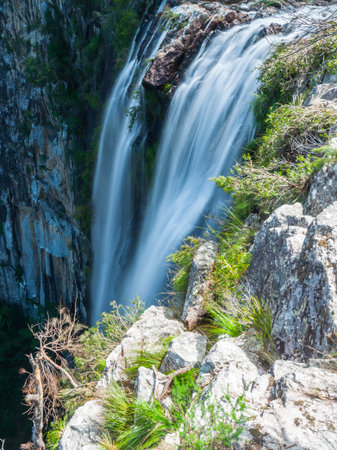 Minyon Falls in scenic rainforest of Nightcaps National Park, Australia.