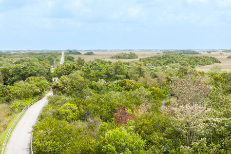 Road through Shark Valley everglade area in Miami Florida.の写真素材