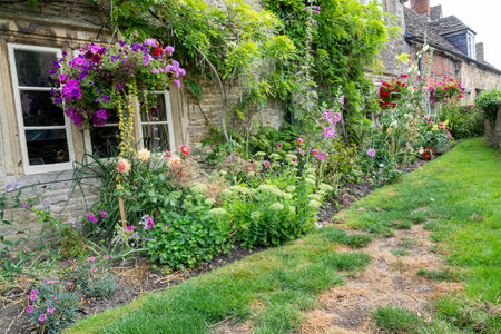 Cultivated garden and flower around building with vines growing over wall.の写真素材