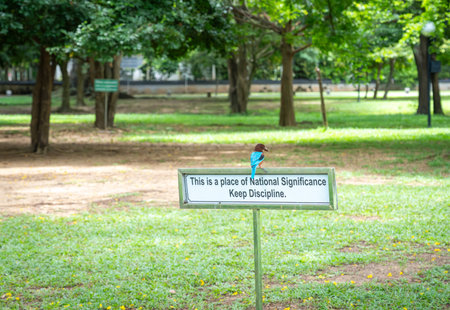 Colombo Sri Lanka - September 2 2024; Colourful kingfisher on sign advising place of national significance and asking for discipline in Independence Park.ddの写真素材