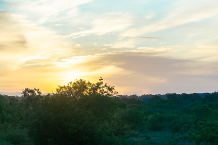 Tropical sunset across scenic landscape in Yala National Park Sri Lanka.の写真素材
