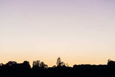 Land and trees in slhouette on horizon at sunrise across bay.