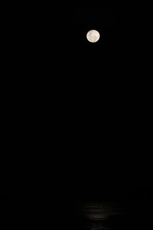 Small round circular moon high in sky and high in vertical image on black background with copy-space,の写真素材