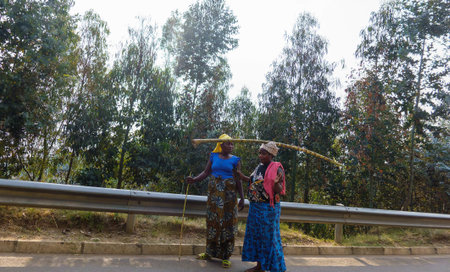 Nyungwe Rwanda - September 6 2025; two women going about their daily activity in life walking on road with one carry bamboo pole home on her head.の写真素材